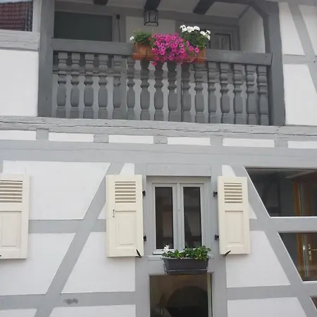 De Charme Proximite De Strasbourg * Olwisheim