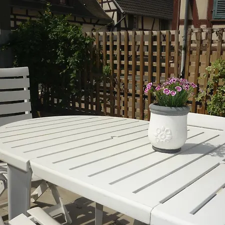 Ferienhaus De Charme Proximite De Strasbourg Olwisheim